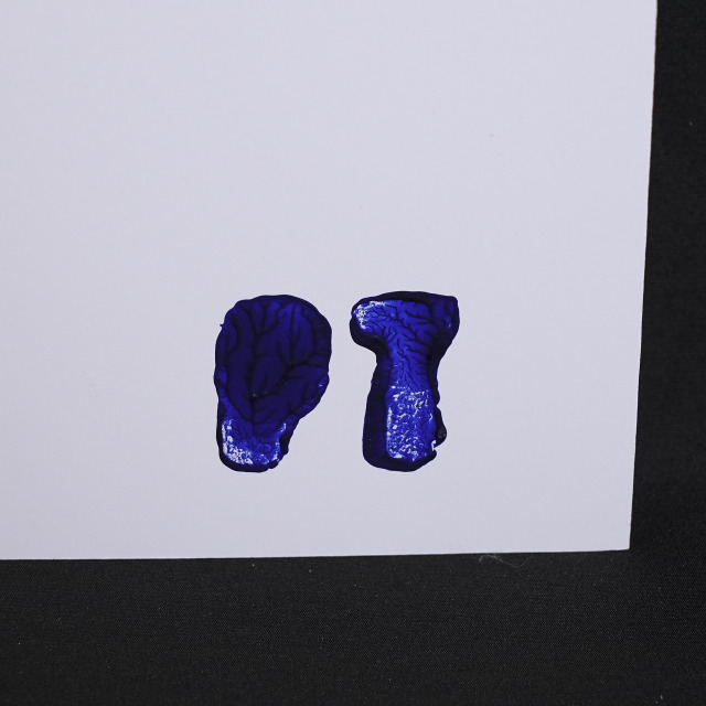 イタリア 2023年 ペーパー Paola Tassetti - 「ABORIGINAL FIORIGRAFIA」 EC-07600