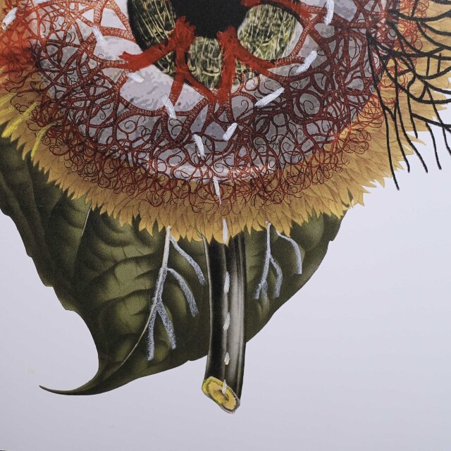 イタリア 2023年 ペーパー Paola Tassetti - 「ABORIGINAL FIORIGRAFIA」 EC-07600