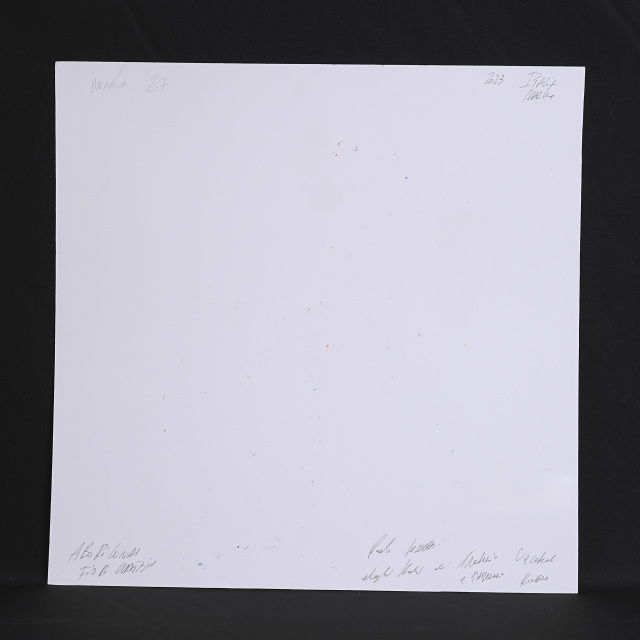 イタリア 2023年 ペーパー Paola Tassetti - 「ABORIGINAL FIORIGRAFIA」 EC-07600