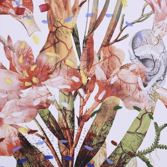 イタリア 2023年 ペーパー Paola Tassetti - 「?OLEANDRO」 EC-07601