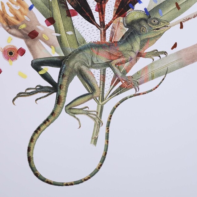 イタリア 2023年 ペーパー Paola Tassetti - 「?OLEANDRO」 EC-07601