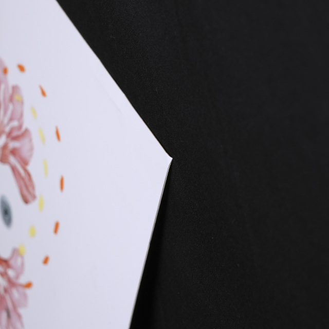 イタリア 2023年 ペーパー Paola Tassetti - 「?OLEANDRO」 EC-07601