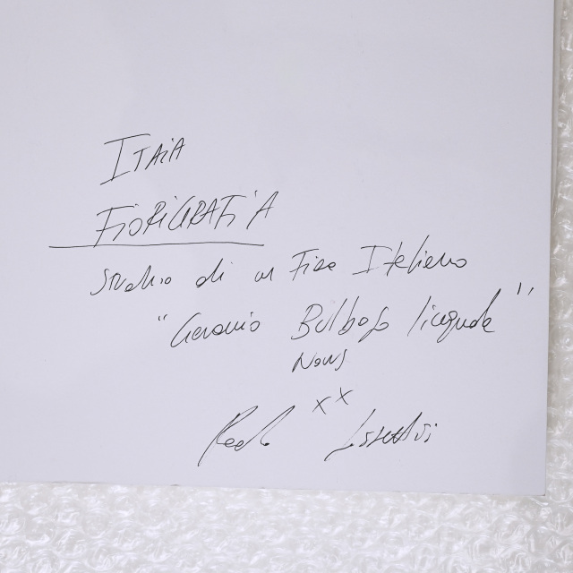 イタリア 2023年 ペーパー Paola Tassetti - 「?OLEANDRO」 EC-07601