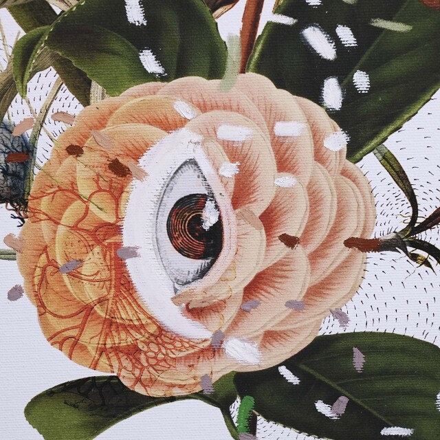 イタリア 2023年 キャンバス Paola Tassetti - 「CAMELIA」 EC-07602