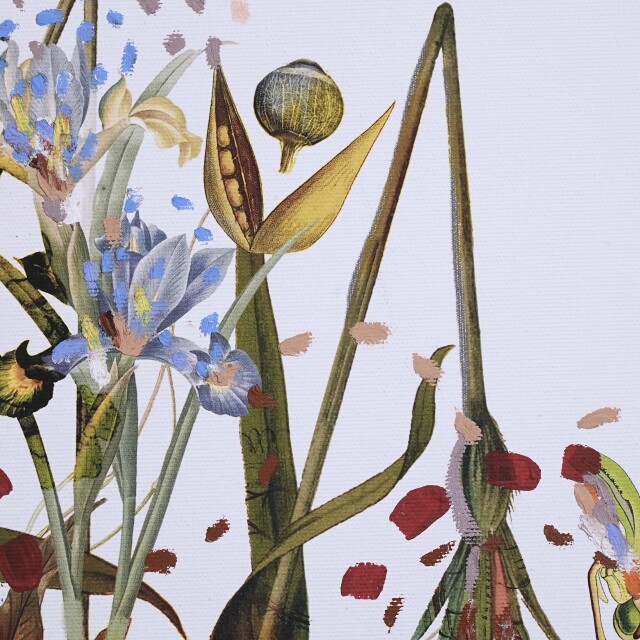 イタリア 2023年 キャンバス Paola Tassetti - 「CAMELIA」 EC-07602