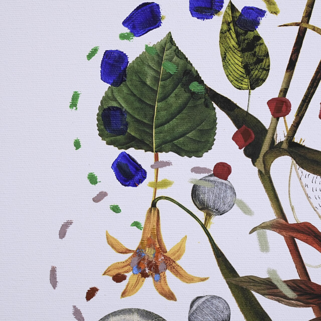 イタリア 2023年 キャンバス Paola Tassetti - 「CAMELIA」 EC-07602