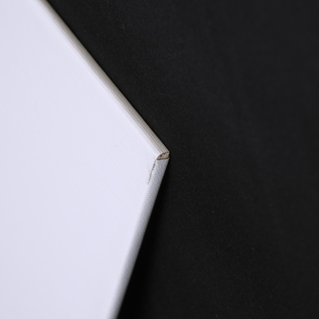 イタリア 2023年 キャンバス Paola Tassetti - 「CAMELIA」 EC-07602