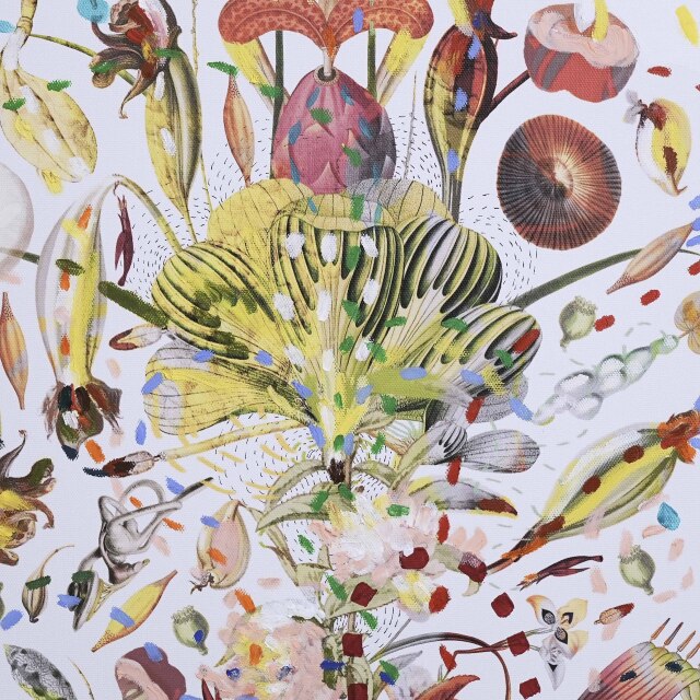 イタリア 2023年 キャンバス Paola Tassetti - 「CILIEGIO」 EC-07604