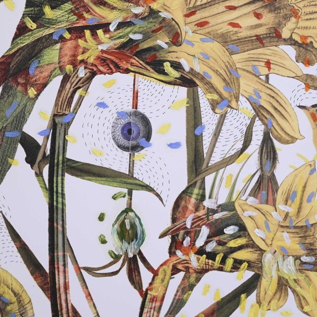 イタリア 2023年 ペーパー Paola Tassetti - 「?NARCISO」 EC-07605