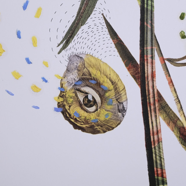 イタリア 2023年 ペーパー Paola Tassetti - 「?NARCISO」 EC-07605