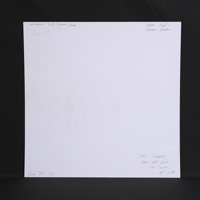 イタリア 2023年 ペーパー Paola Tassetti - 「?NARCISO」 EC-07605