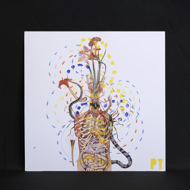 イタリア 2023年 ペーパー Paola Tassetti - 「GIGLIO METAMORFICO」 EC-07606