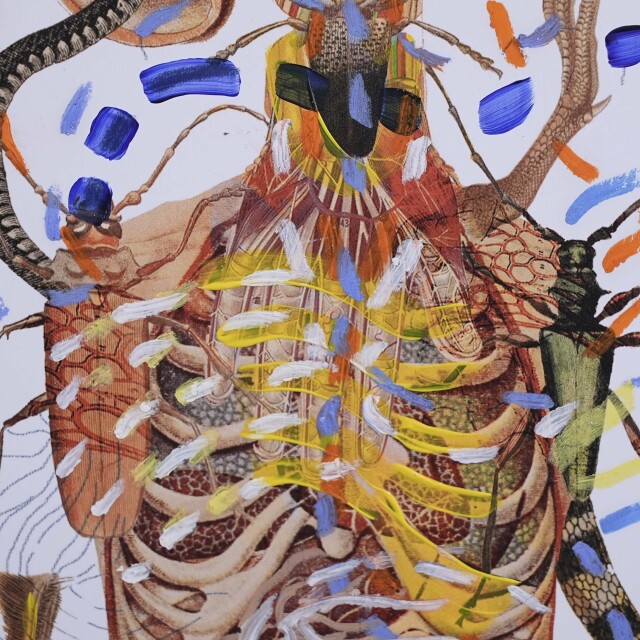 イタリア 2023年 ペーパー Paola Tassetti - 「GIGLIO METAMORFICO」 EC-07606