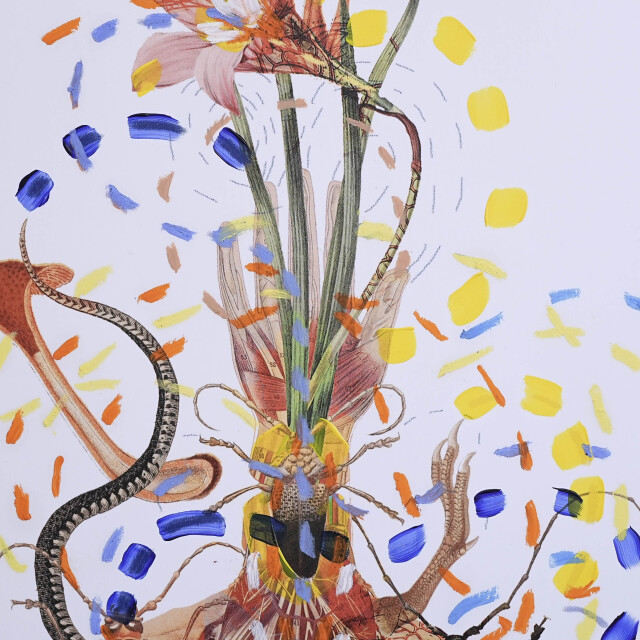 イタリア 2023年 ペーパー Paola Tassetti - 「GIGLIO METAMORFICO」 EC-07606