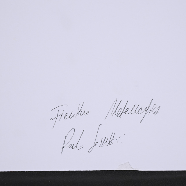 イタリア 2023年 ペーパー Paola Tassetti - 「GIGLIO METAMORFICO」 EC-07606