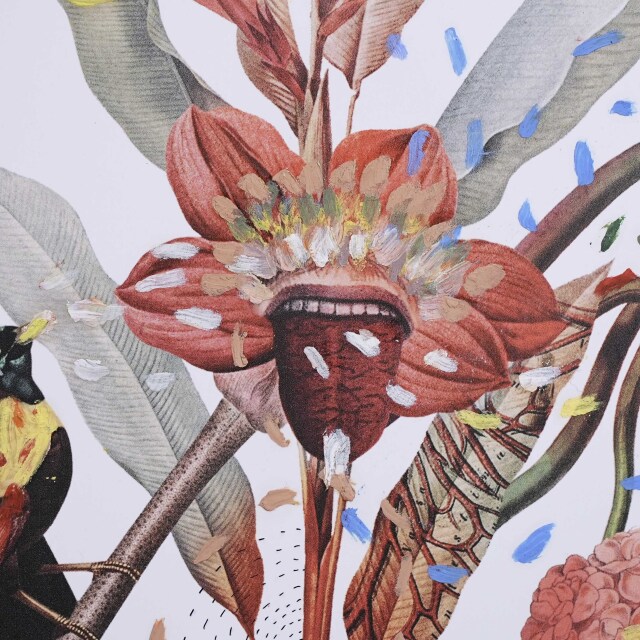 イタリア 2023年 ペーパー Paola Tassetti - 「GERANIO」 EC-07607