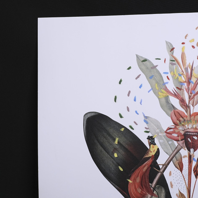 イタリア 2023年 ペーパー Paola Tassetti - 「GERANIO」 EC-07607