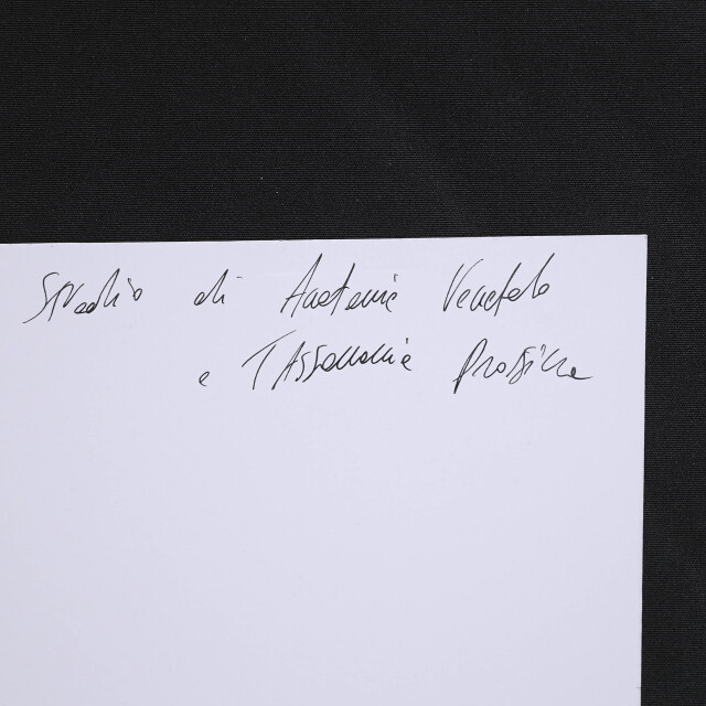 イタリア 2023年 ペーパー Paola Tassetti - 「GERANIO」 EC-07607