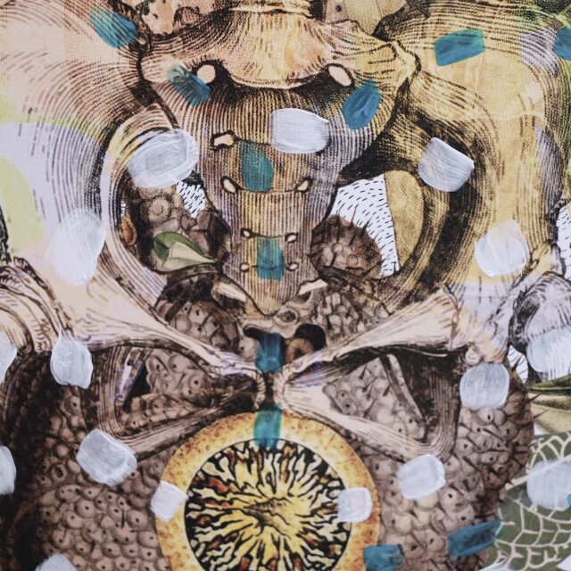 イタリア 2023年 ペーパー Paola Tassetti - 「METAMAORFOSIDEL GIGLIO」 EC-07608