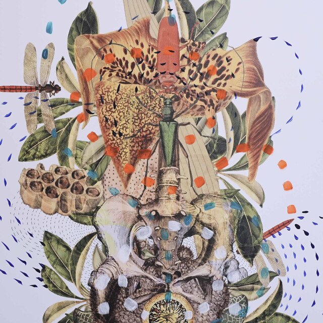 イタリア 2023年 ペーパー Paola Tassetti - 「METAMAORFOSIDEL GIGLIO」 EC-07608