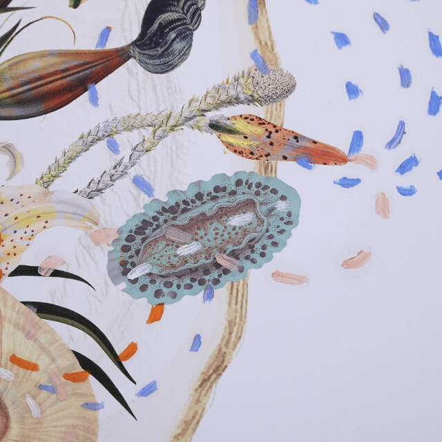 イタリア 2023年 ペーパー Paola Tassetti - 「?CAMEO」 EC-07609