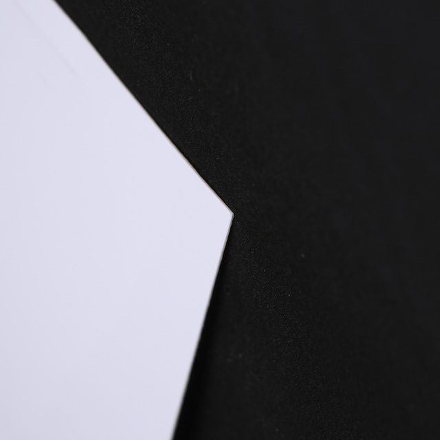 イタリア 2023年 ペーパー Paola Tassetti - 「?CAMEO」 EC-07609