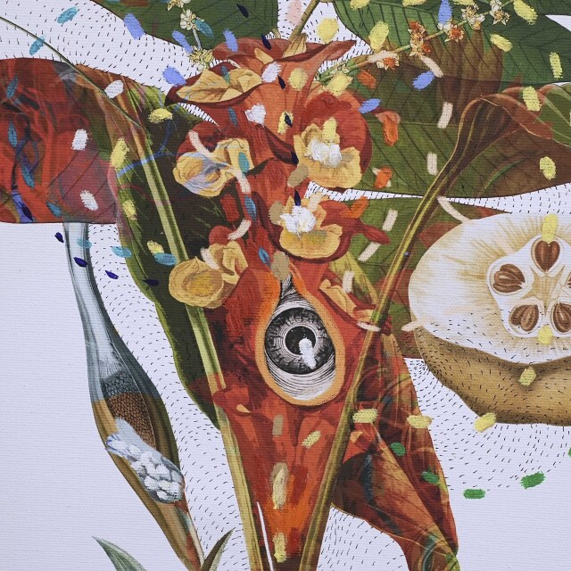 イタリア 2023年 キャンバス Paola Tassetti - 「CURCUMA」 EC-07610