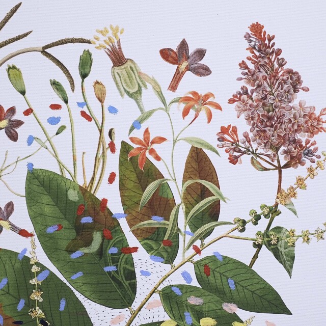 イタリア 2023年 キャンバス Paola Tassetti - 「CURCUMA」 EC-07610