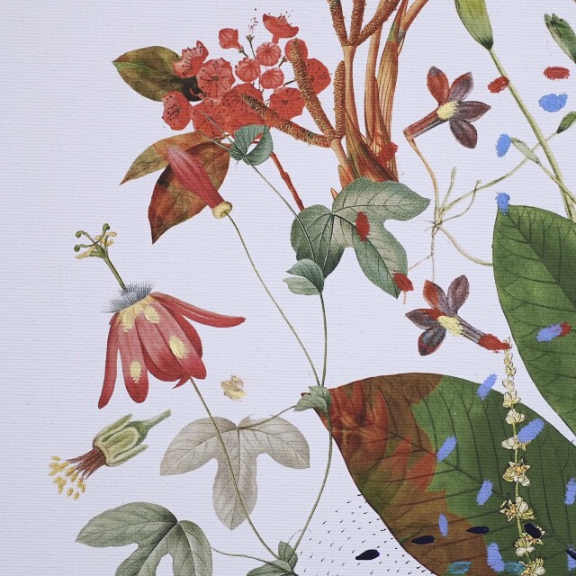 イタリア 2023年 キャンバス Paola Tassetti - 「CURCUMA」 EC-07610