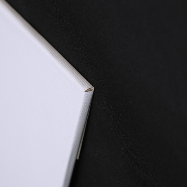 イタリア 2023年 キャンバス Paola Tassetti - 「CURCUMA」 EC-07610