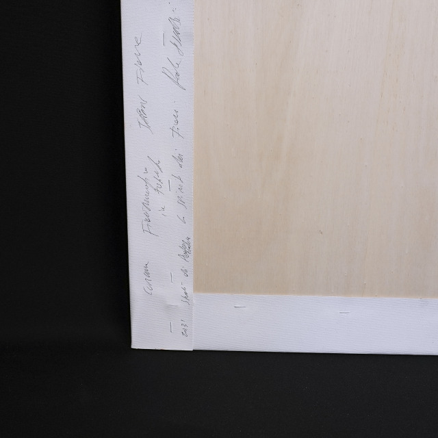 イタリア 2023年 キャンバス Paola Tassetti - 「CURCUMA」 EC-07610