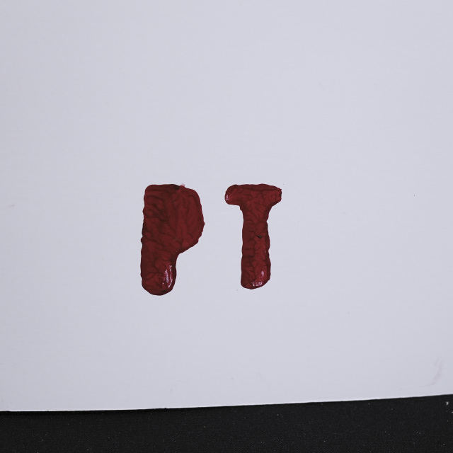 イタリア 2023年 ペーパー Paola Tassetti - 「IL GIARDINO DI BRUNO MUGLLINI」 EC-07612