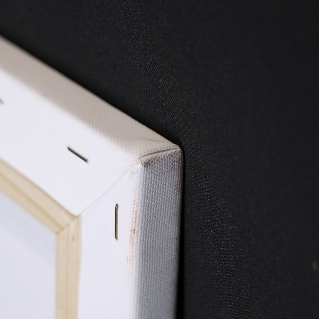 イタリア 2023年 キャンバス Paola Tassetti - 「VENERE FRASASSICA」 EC-07613