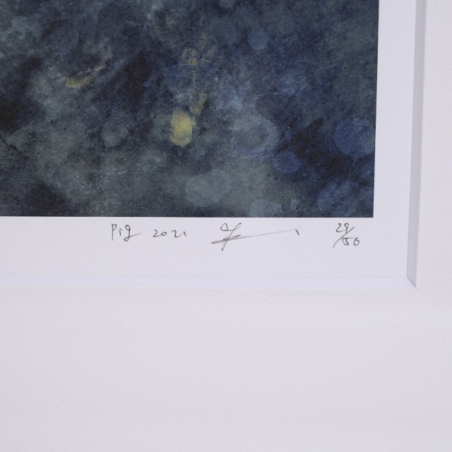 日本 2021年 リトグラフ 井田幸昌 「Pig」 EC-07688