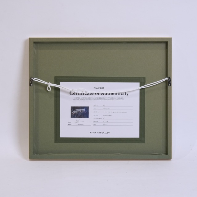 日本 2021年 リトグラフ 井田幸昌 「Pig」 EC-07688