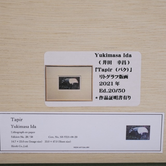 日本 2021年 リトグラフ 井田幸昌 「Tapir」 EC-07689