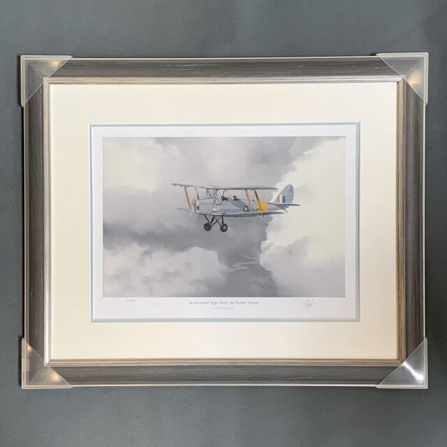 イギリス 2001年代 ペーパー   ウォールアート EC-14641