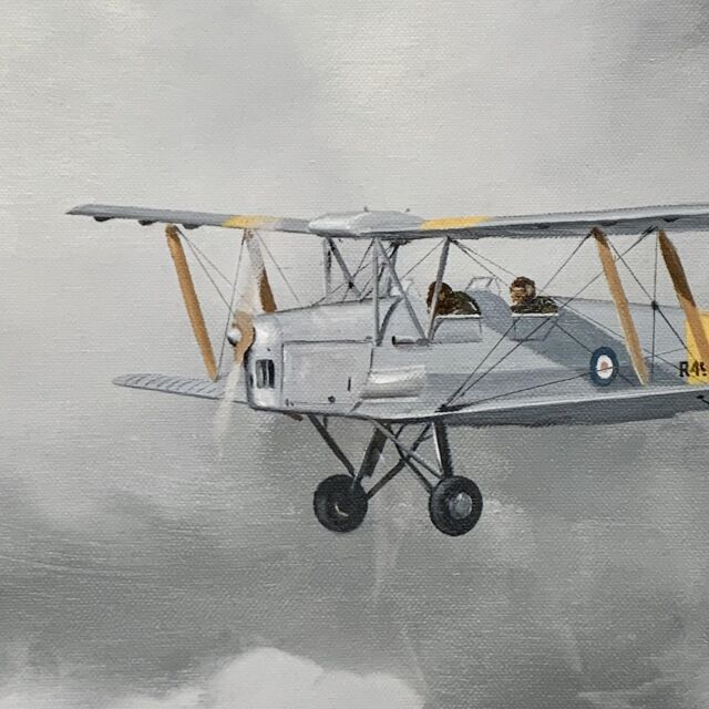 イギリス 2001年代 ペーパー   ウォールアート EC-14641