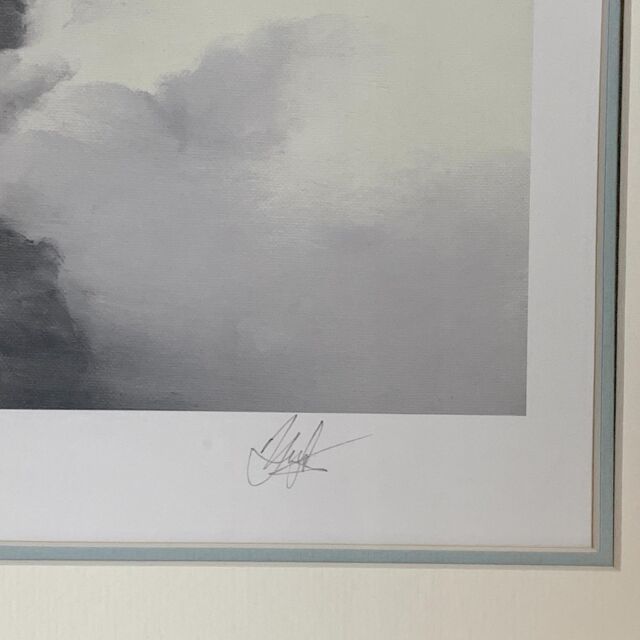 イギリス 2001年代 ペーパー   ウォールアート EC-14641