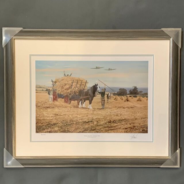 イギリス 2001年代 ペーパー   ウォールアート EC-14653