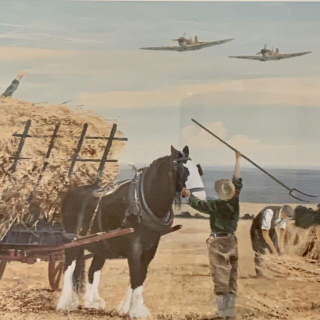 イギリス 2001年代 ペーパー   ウォールアート EC-14653