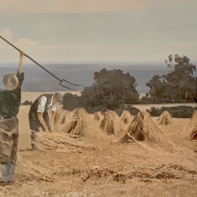 イギリス 2001年代 ペーパー   ウォールアート EC-14653