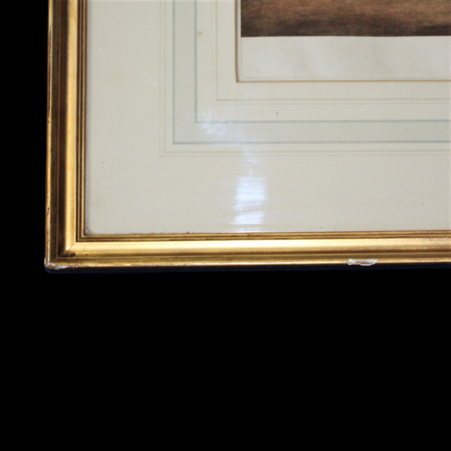 イギリス 1901年代 ペーパー   ウォールアート EC-14656