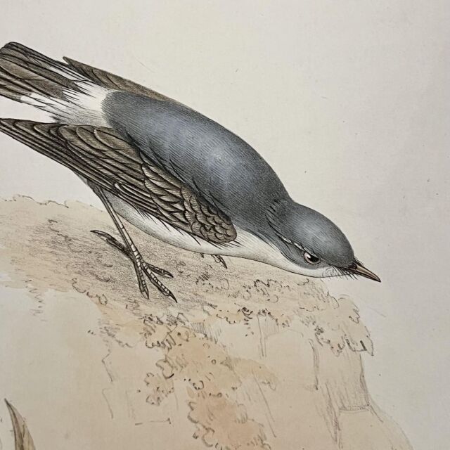 キャンバス 絵画 EC-14987