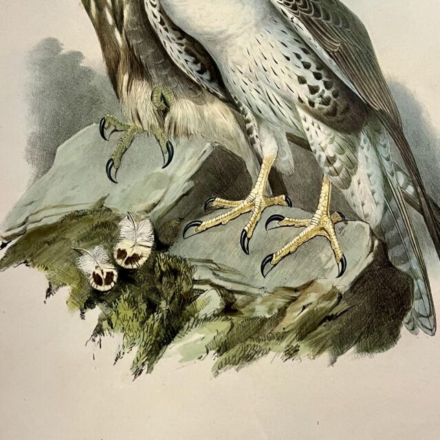 イギリス 19世紀 キャンバス 絵画 EC-14990