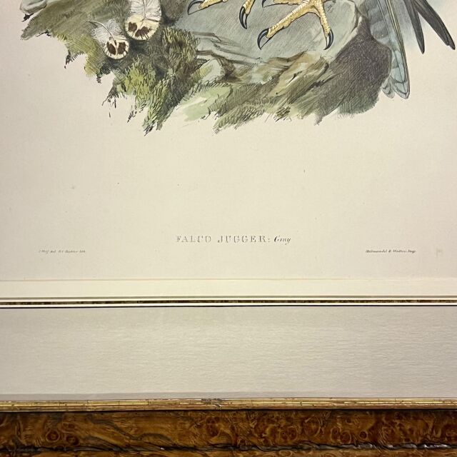 イギリス 19世紀 キャンバス 絵画