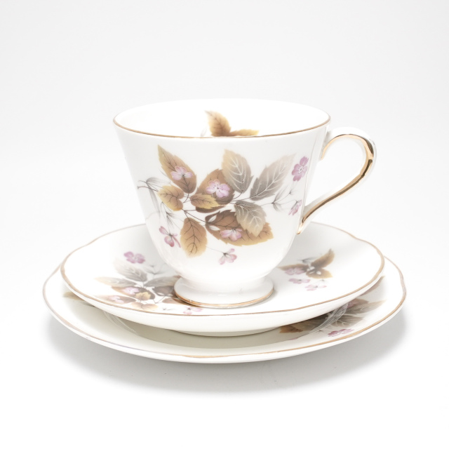 イギリス ビンテージ 陶磁器 ROYAL TALA ロイヤルタラ トリオ EC-G300232108