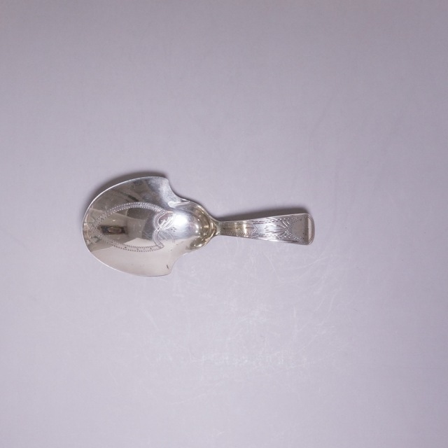イギリス 1800年代 シルバー ティーキャディスプーン ECJPTD0064