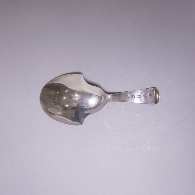 イギリス 1800年代 シルバー ティーキャディスプーン ECJPTD0064