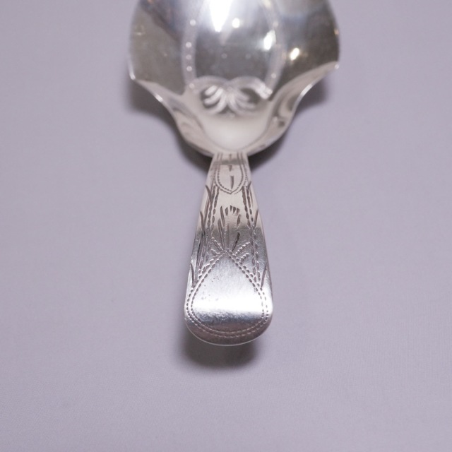 イギリス 1800年代 シルバー ティーキャディスプーン ECJPTD0064